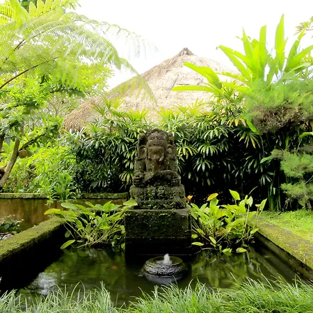 The Sungu Resort & Spa-2